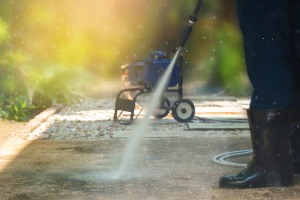 Best Animal Enclosure Cleaning  in Sayre, OK